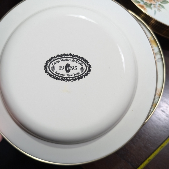 Dinner Plates - Picture 4 of 6